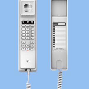 تلفن ویپ GHP610(W)